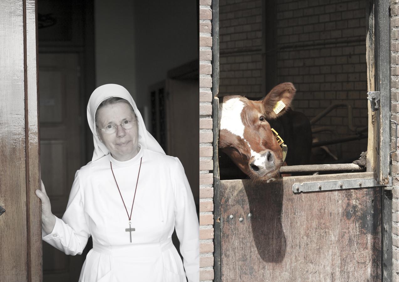 Herberg De Brabantse Kluis Aarle-Rixtel Zewnętrze zdjęcie
